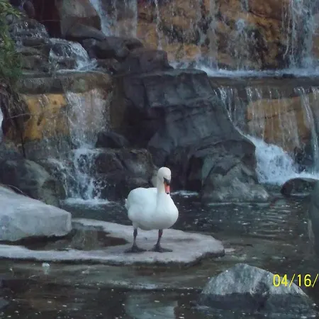 Sansofé Vivienda Estudio Apartamento *