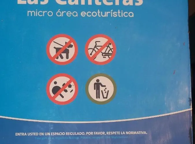 Sansofe Vivienda Estudio Las Palmas