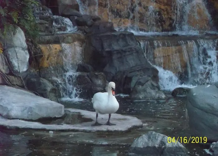 Sansofe Vivienda Estudio Appartement *